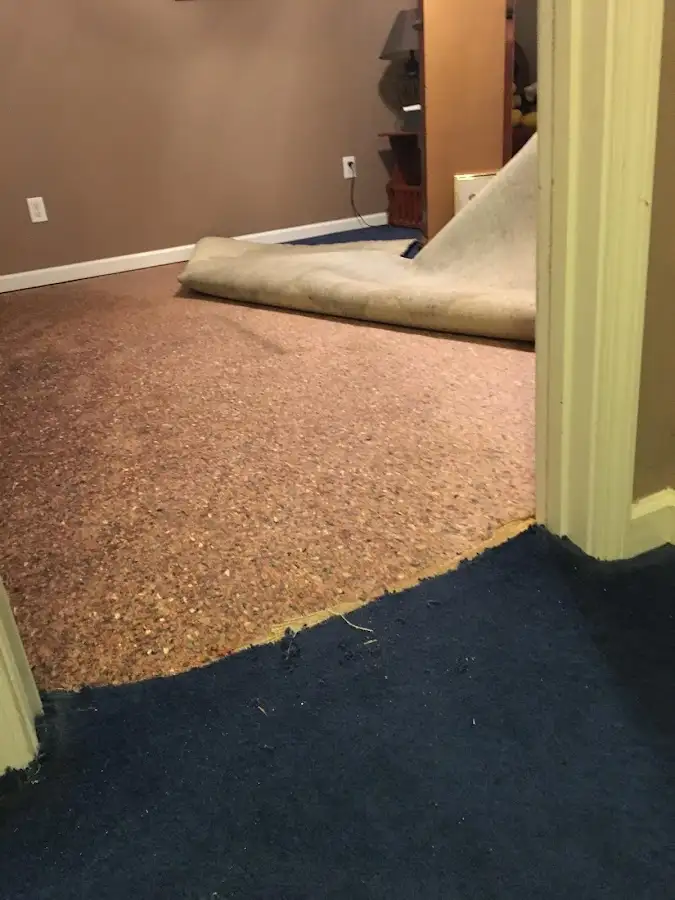 Carpet pad removal revealing water damage during Water Mitigation Services in North Vernon