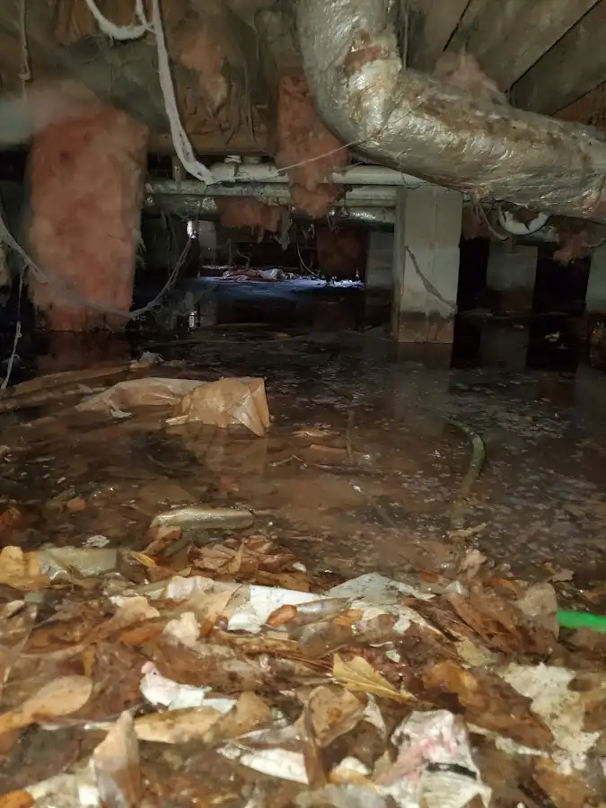 Crawl space flood assessment for Commercial Water Damage Restoration in North Vernon