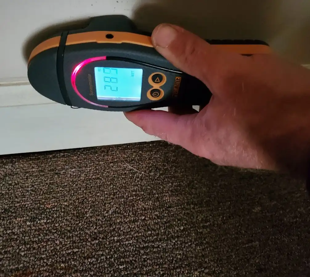 Moisture detection at baseboard during Sewage Cleanup & Sanitation in North Vernon